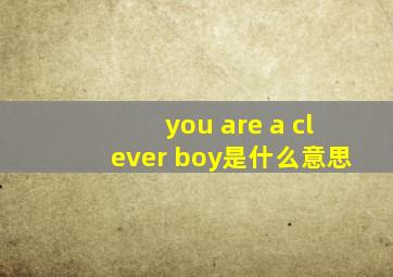 you are a clever boy是什么意思